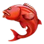 Huge Reds Symbol.