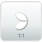 Leaf 1.